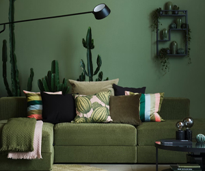 Grote, groene bank voor een groene muur met een zwarte salontafel en groene accessoires