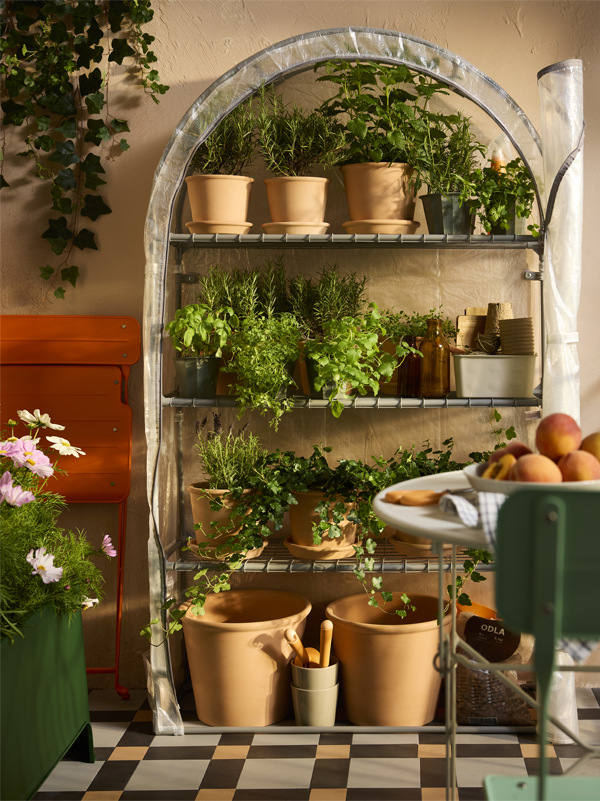 ASPAREN kweekkas gevuld met verschillende planten in potten